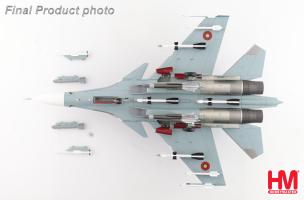 Su-30SM Red 31, Armenia Air Force, 2019